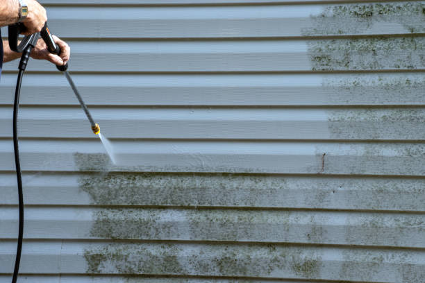 Professional Junk Removal in Orono, MN
